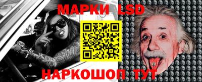 a pvp Камышлов