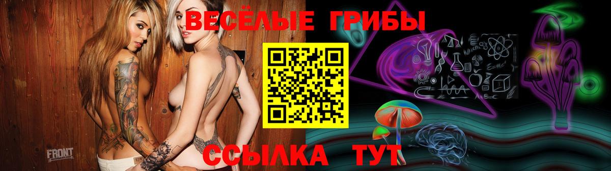 Псилоцибиновые грибы ЛСД  Вход с VPN  Тавда 